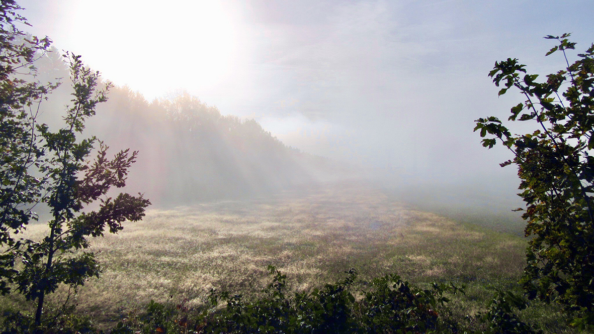 Frühnebel im Erzgebirge. Foto: Chris Bergau